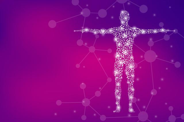 Koja je zapravo funkcija novootkrivenog organa?